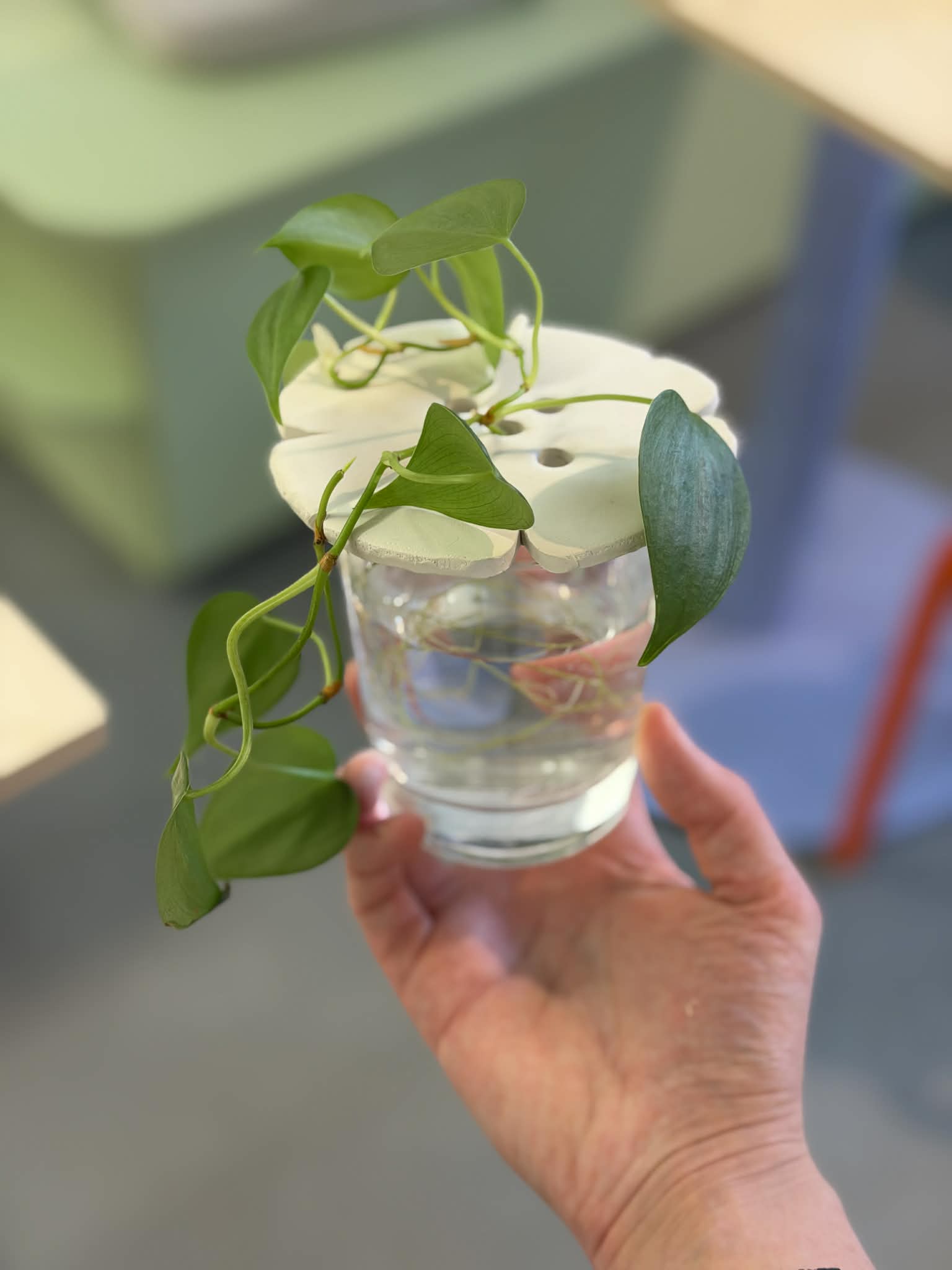 Spring and Mother's Day Ceramic Painting Workshop