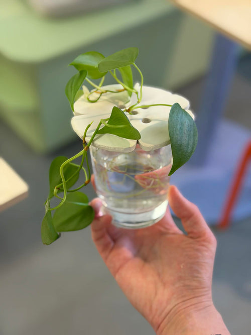 Spring and Mother's Day Ceramic Painting Workshop